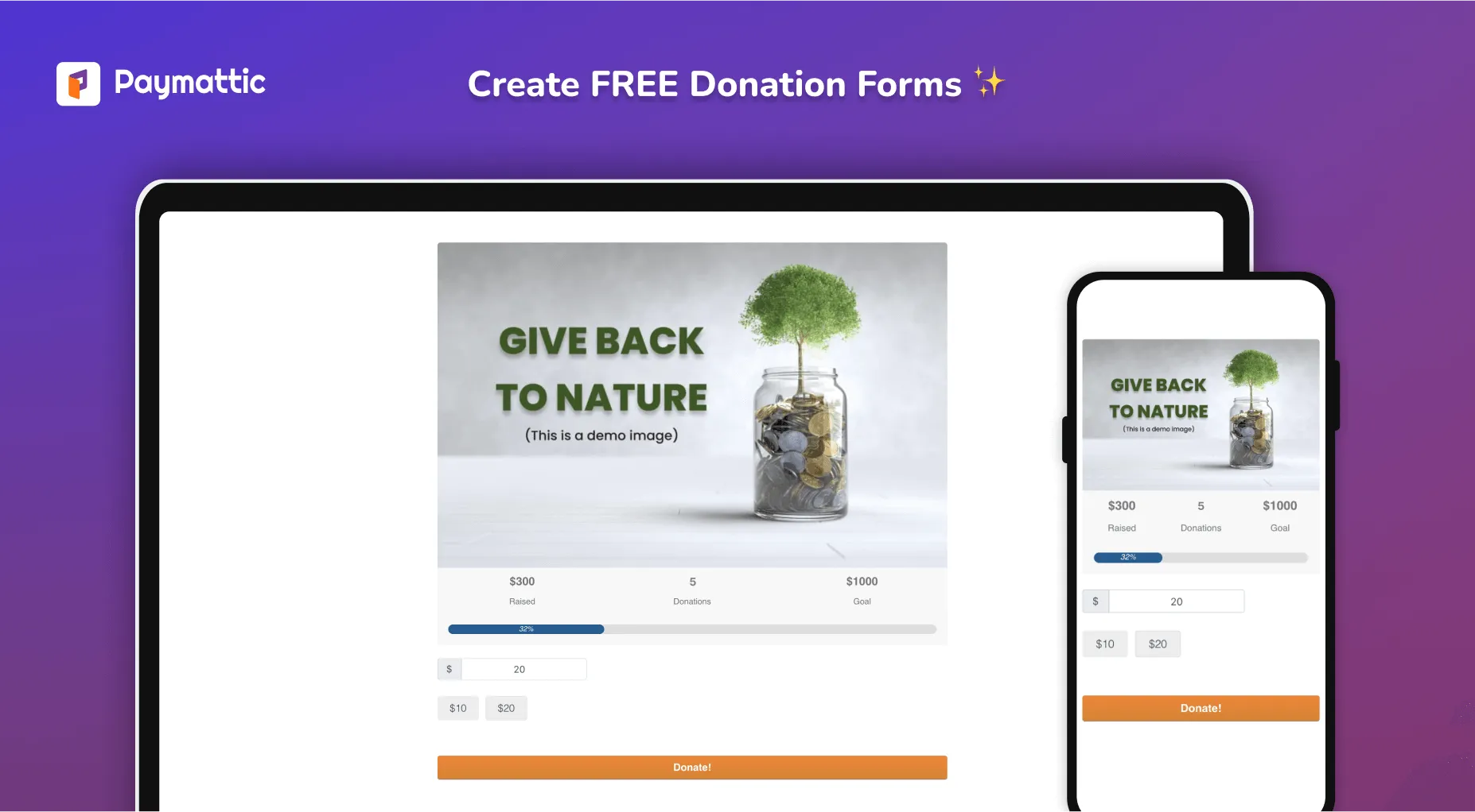 A Paymattic donation form with a progress bar showing the percentage collected