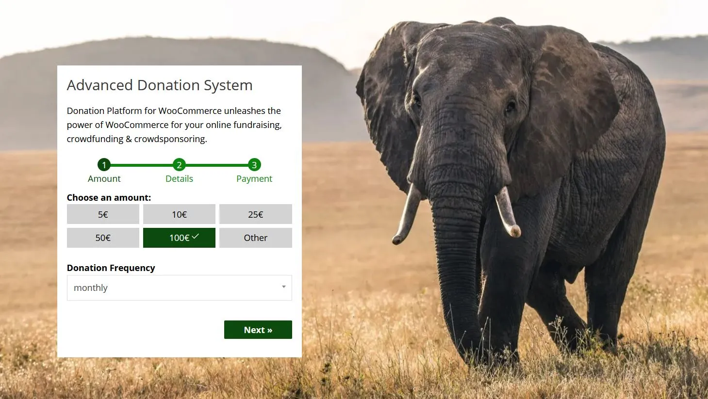 Donation Platform for WooCommerce donation form